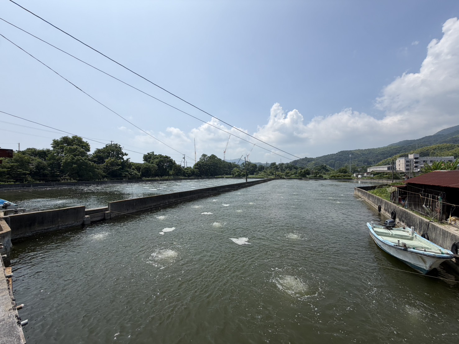 神田商店 岡池（3,700㎡）— 岩国 通津の車海老養殖場