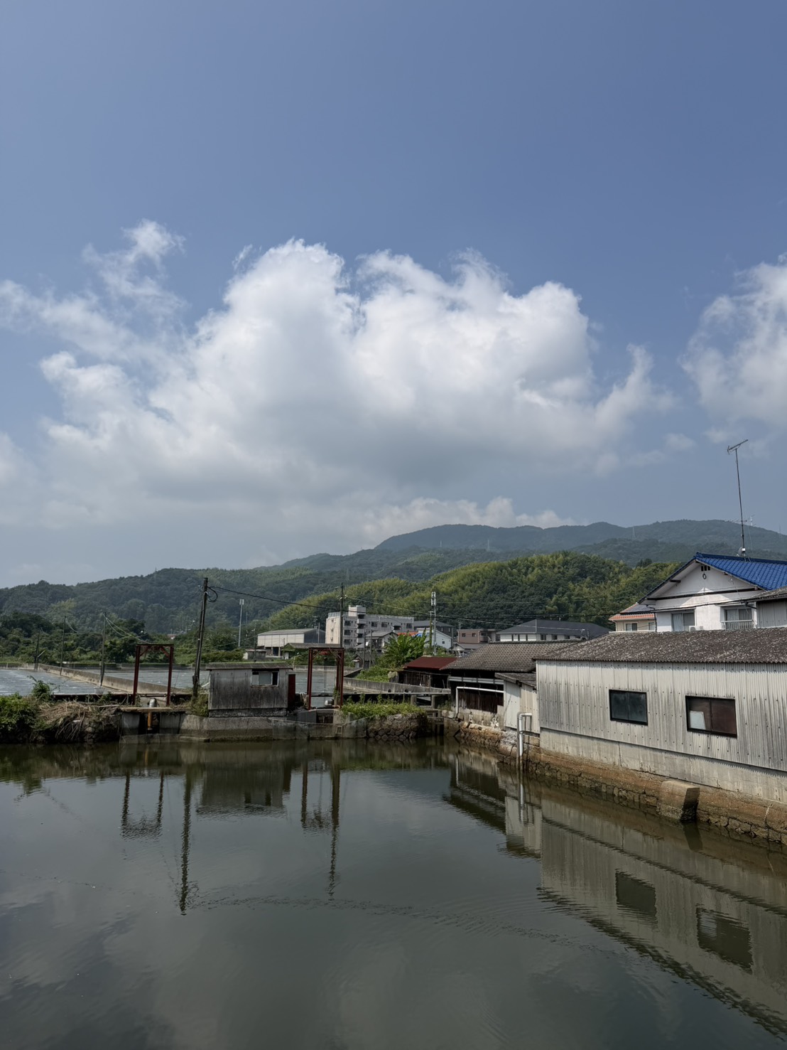 神田商店 通津の入り江 — 河川水の流入で塩分濃度が変化 — 岩国